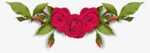 Red Roses, Scrap, Clip Art, Image Search, Picture Frames, - Цветы Png На Прозрачном Фоне