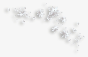 White Flowers Decorative Png Clipart - Clip Art