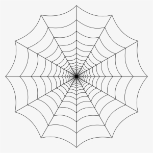 Spider Web Transparent Background