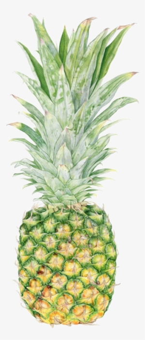 Fruits,tubes - Pineapple A Day Quotes
