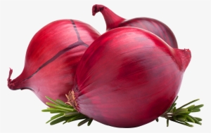 Onion Png Image - Onion Export Banners
