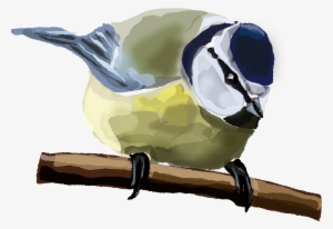 Bird Eurasian Blue Tit House Sparrow Computer Icons - Custom Blue Tit Bird Shower Curtain