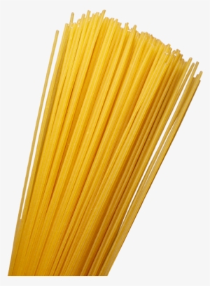 Pasta Spaghetti Multicereale Prodotto Main 002 - Spaghetti