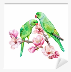 Green Parrots Sitting On A Flowering Branch Of A Magnolia - Rose-ringed Parakeet