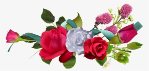 Rose Flowers Red Rose Romantic Rose Rose R - Happy Ambedkar Jayanti 2018