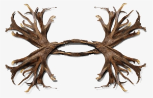Under Armour Brothers Company - Under Armour Deer Antler Logo
