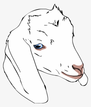 Goat Head Drawing For Kids Goat Drawing For Kids Goat - Goat Face Drawing