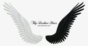 More Like Good And Evil Angel Wings Png 05 By Thy - Black And White Wings Png