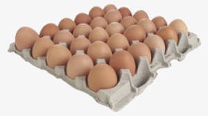 Dozen Eggs Png - Egg