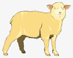lamb clipart goat - sheep