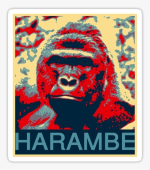 Harambe - Gorilla