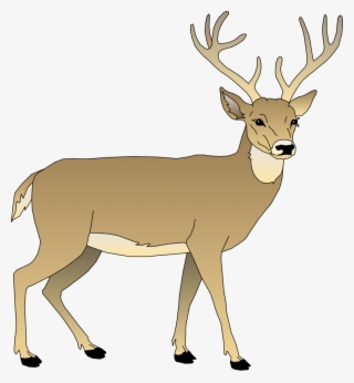Male Deer Svg Clip Arts 552 X 599 Px