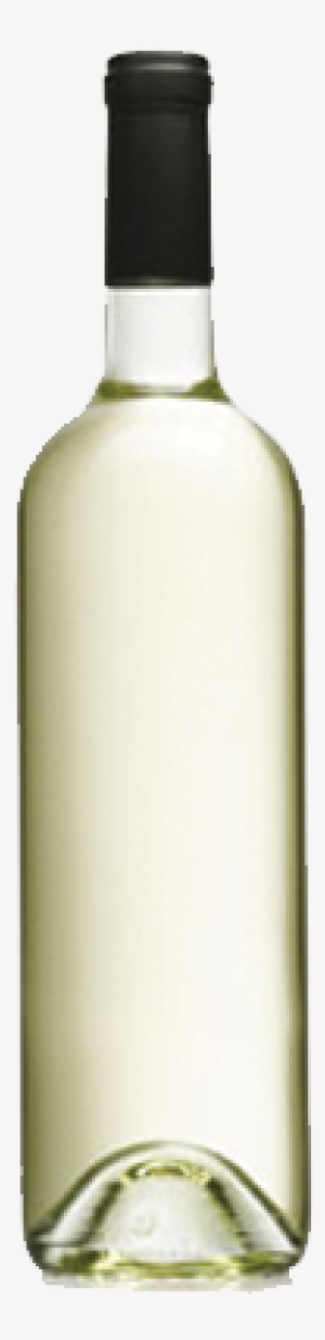 White Wine Bottle - Wine Bottle No Label