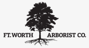 Fort Worth's Premier Tree Health Care And Arboriculture - Tree
