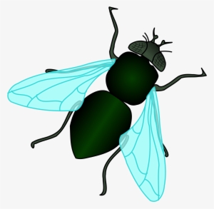 Fly Background Png - Clipart Of Housefly