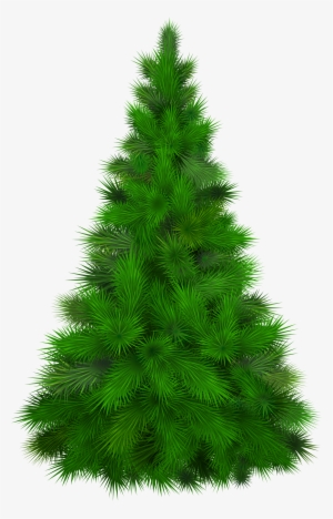 Green Pine Tree Png Clip Art - Transparent Pine Tree Clipart