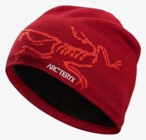 Arc'teryx Bird Head Toque In Red Beach/flare - Arc'teryx Bird Head Toque Hat - Purple