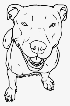 Free To Use Pit Bull Lineart Please - Free Pitbull Line Art