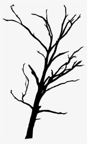 Free Png Dead Tree Silhouette Png Images Transparent - Dead Tree Transparent