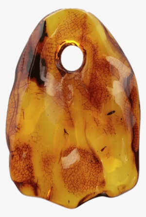 Amber Pendant With Small Insect - Brighton Silver