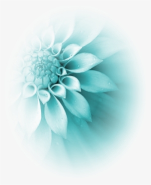 Turquoise Flower Psd78764 - Flor Azul Tiffany Png