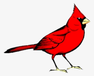 Cardinal Clip Art - Red Bird