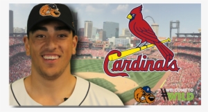 Gateway's Alec Kisena Signs With The St - 2011 St. Louis Cardinals Team Logo Sports
