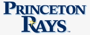 Probably The Most Important Factor Determining The - Princeton Rays