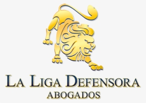 La Liga Defensora - Lawyer