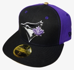 Toronto Blue Jays Fitted Custom Exclusive Low Profile - Toronto