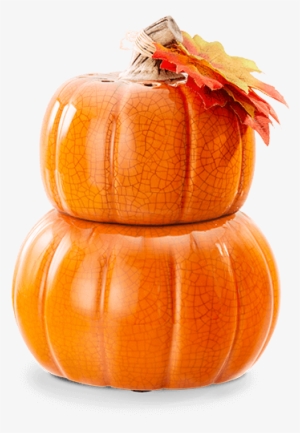 Patch Of Pumpkins Scentsy For Sale Now At Getascent - Scentsy Pumpkin Warmer 2018