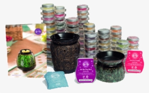 Scentsy 2015 Starter Kit - Scentsy Products 2015