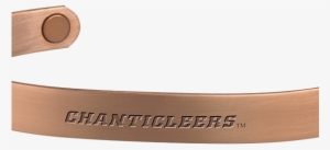 Coastal Carolina University Chanticleers - Bracelet