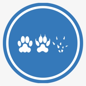 This Free Icons Png Design Of Cat Dog Mouse Unification