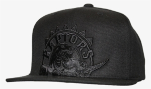 Toronto Raptors Xl Raptor Logo Snapback Hat - Top Logo Snapback