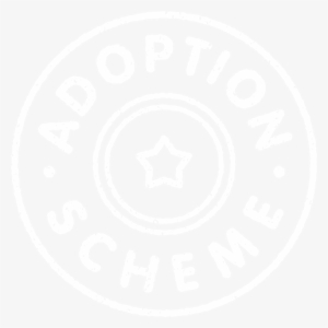 Small Redwings Adoption Scheme Mark White - Jpeg