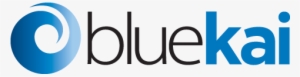 Oracle Data Management Platform Powered By Oracle Bluekai - Blue Kai