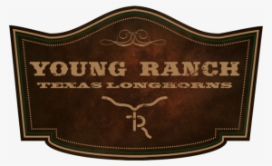 Young Ranch - Duran Duran All You Need