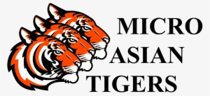 Micro Asian Tigers Logo - Cayo Costa State Park