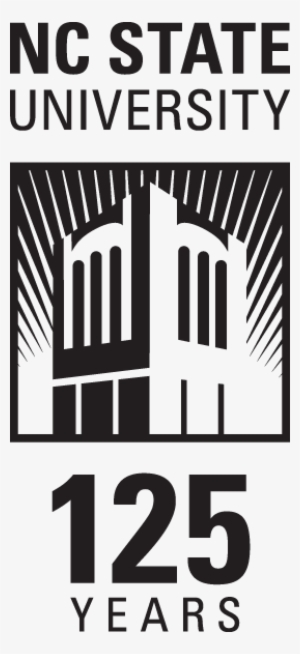 Summer Reu - Nc State Engineering Logo