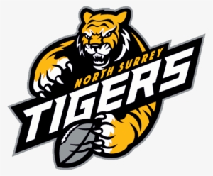 Ns Tigers Logo - Tigers For Logos