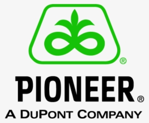 pioneer dupont - dupont pioneer logo vector