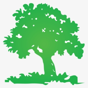 Tree Logo, Google Search, Tree Logo, Pinterest, Tree - Tree Logo Png