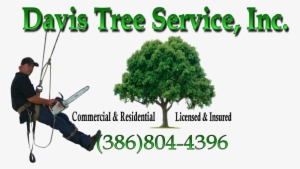 Cropped Tree Logo Davis - Drawings Of Trees