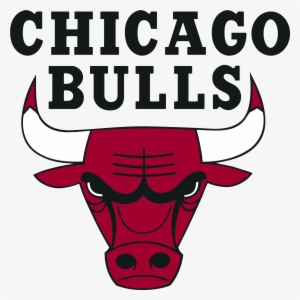 Chicago Bulls Pride Alternate - Chicago Bulls Concept Jerseys, HD Png  Download - 800x800 (#2197032) - PinPng