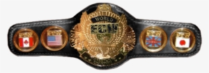 Image Ecw Tv 96 Png Pro Wrestling Fandom Powered By - Ecw Women's Championship Png