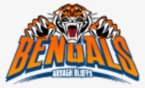 Ardagh Bluffs Ps - Wests Tigers Nrl Uv Car Decals 5 Stickers Per Sheet
