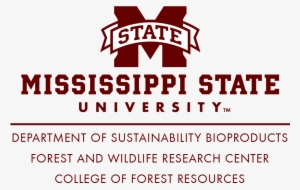 Horizontal Example - - Msstate College Of Arts And Sciences