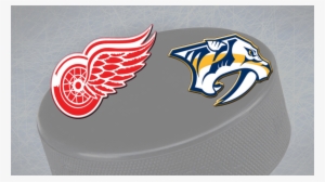 Petr Mrazek Made 42 Saves, Mike Green Scored In The - Detroit Red Wings