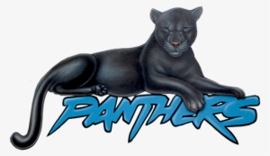 Panther Png - Bonney Lake Panthers